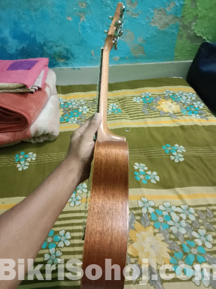 Ukulele Model-02